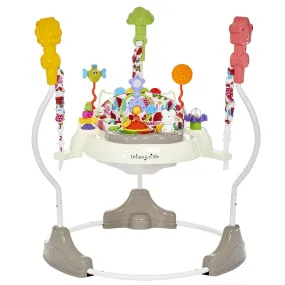 Zany Activity Center Bouncer - Gray