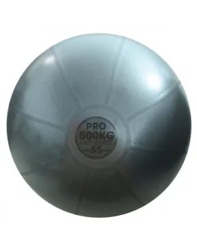 Fitness Mad 500Kg Studio Professional Fitness Swiss Ball Only