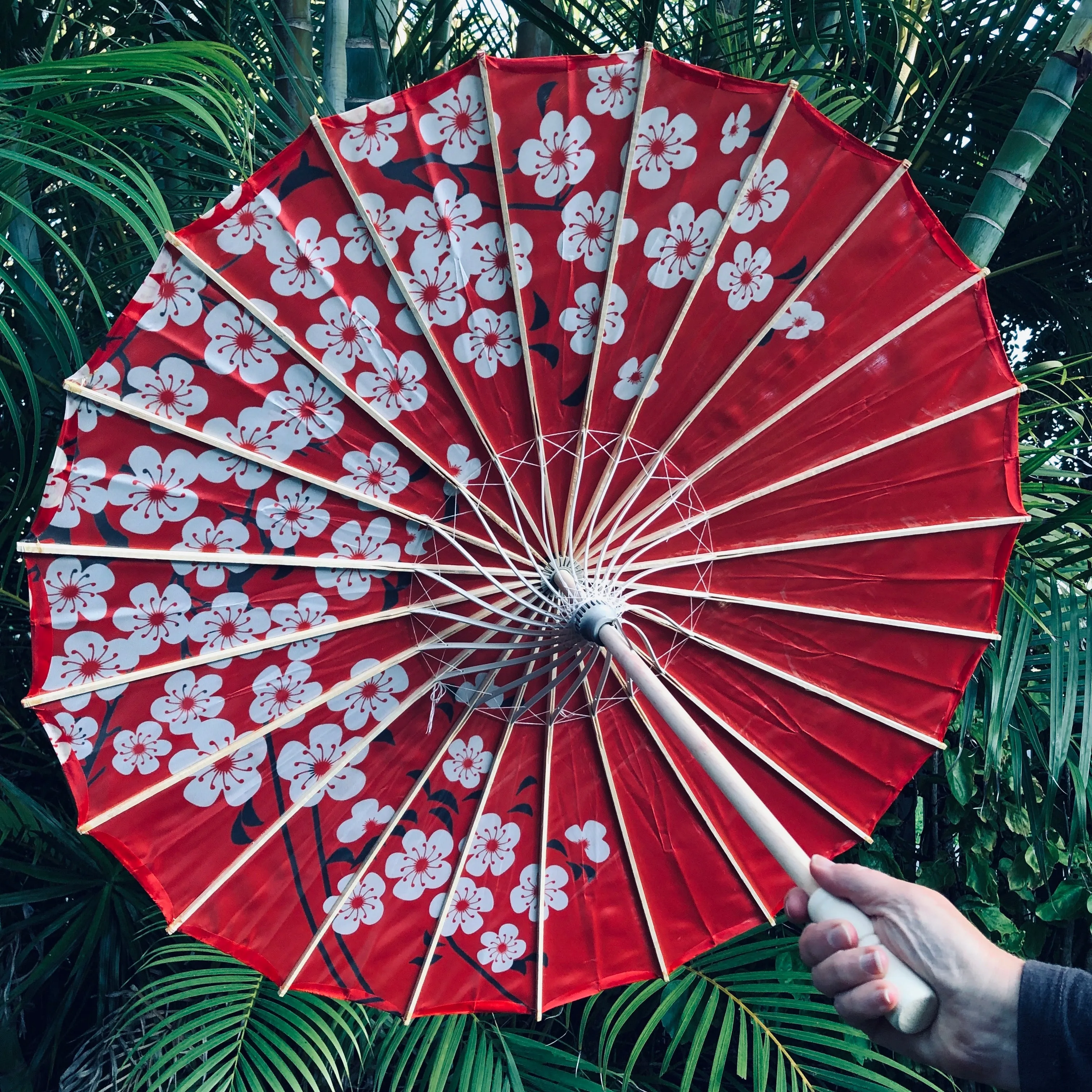 Red Nylon Parasol - cherry blossoms